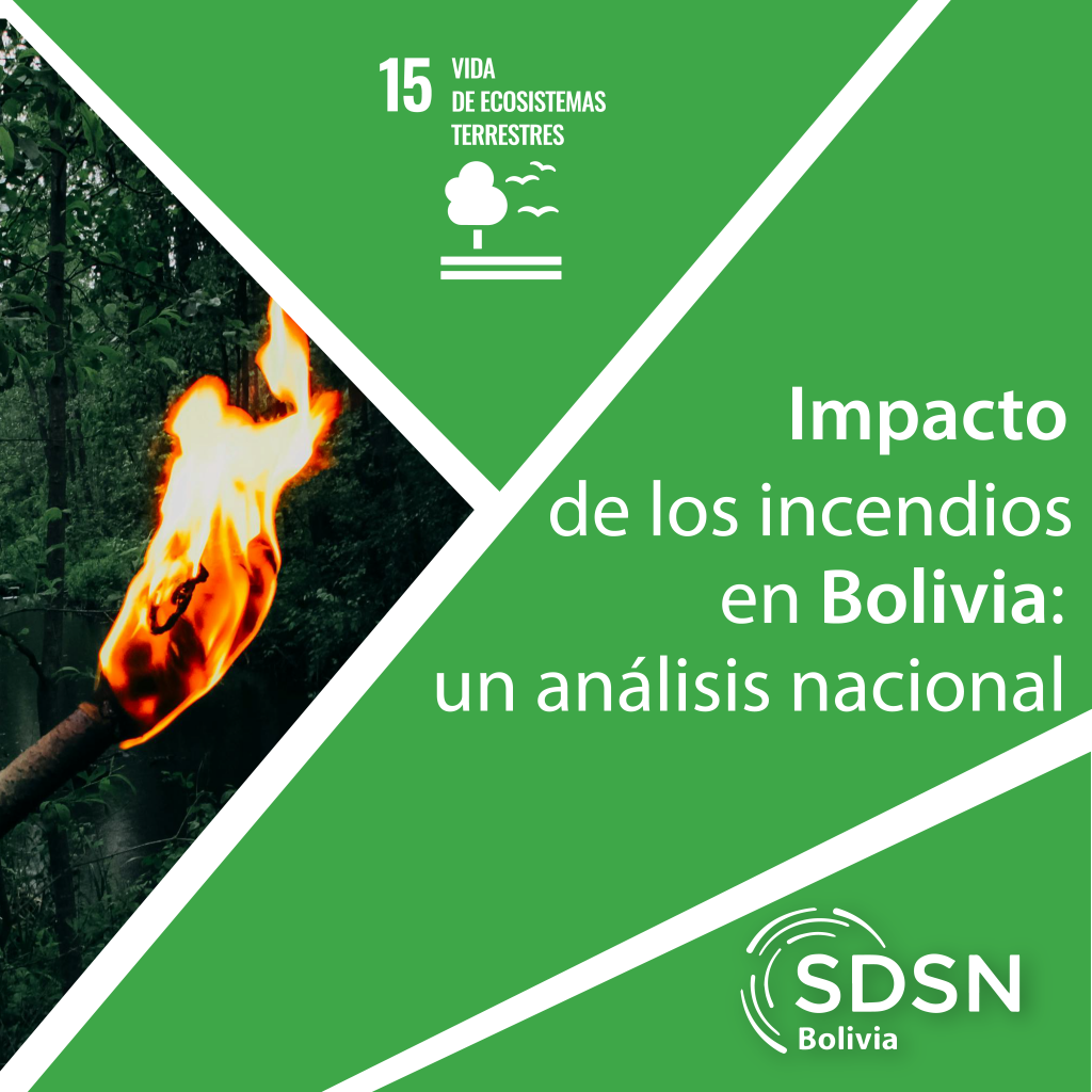 Impacto de los incendios en Bolivia un análisis nacional Sdsn Bolivia